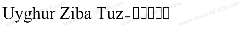 Uyghur Ziba Tuz字体转换
